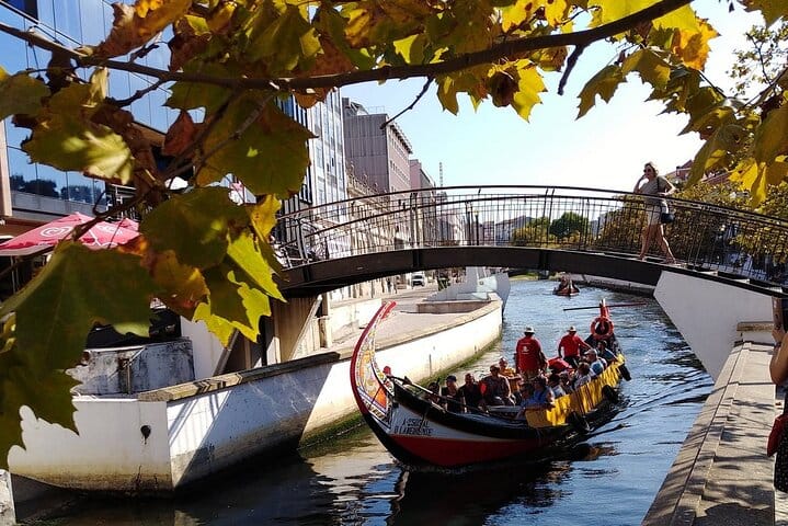AVEIRO & COSTA NOVA: Full-Day Private Tour from Porto