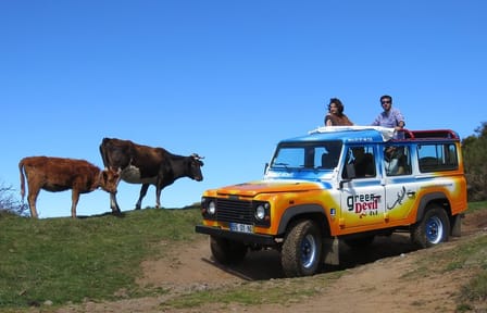 4WD Coastal Tour of Camara de Lobos, Madeira