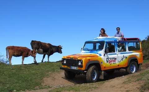 4WD Coastal Tour of Camara de Lobos, Madeira