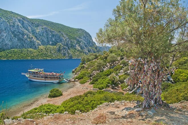 Camellia island Tours