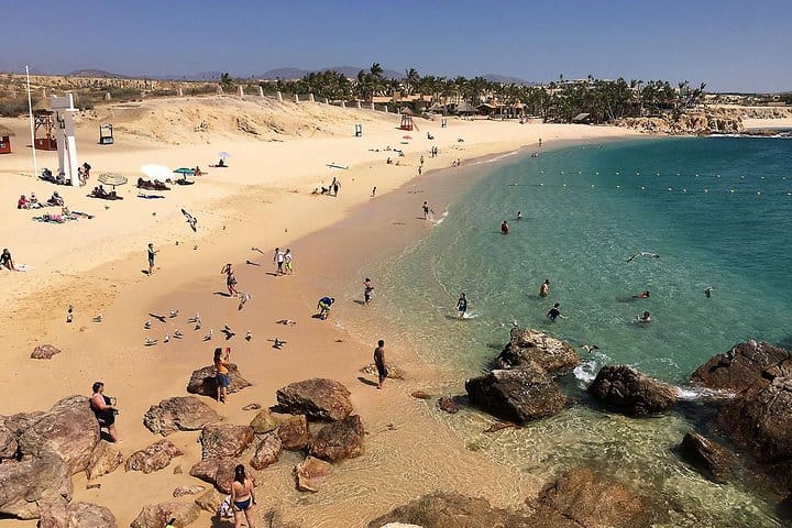Beach Hopping Snorkeling Discovery in Los Cabos 8
