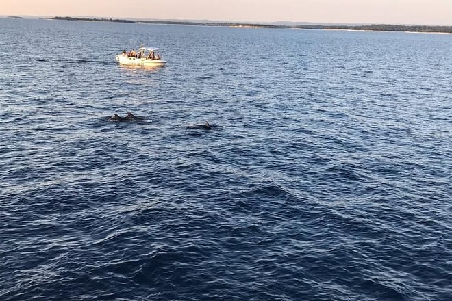 Sunset and dolphin excursion Pula - ship Ulika 7