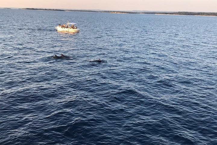 Sunset and Dolphin Excursion Pula - Ship Ulika 7