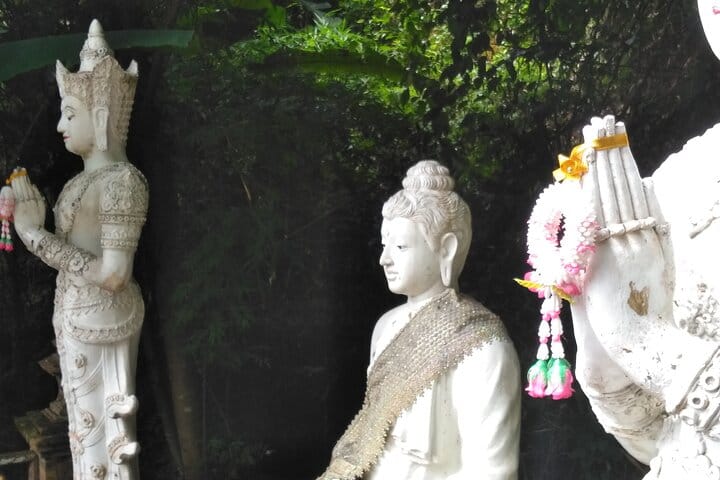 Chiang mai Suthep National Park Leisure Hiking & Mountain Biking