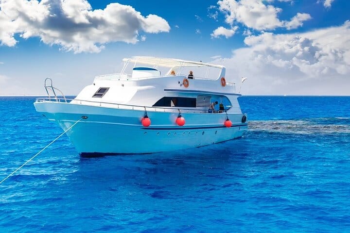 Dolphin House Snorkeling Cruise in Hurghada with Lunch