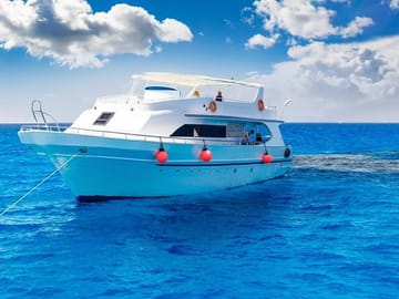 Dolphin Watching and Snorkeling Cruise in Hurghada