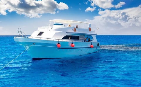 Dolphin Watching and Snorkeling Cruise in Hurghada