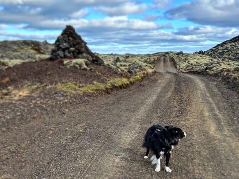 Snæfellsnes Private Comfort, photo 5