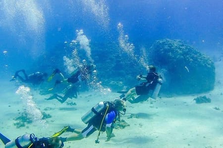 Snorkeling Trip At Port Ghalib Marina from Marsa Alam