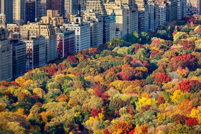 Private Hudson Valley Fall Foliage Helicopter Charter from Manhattan for up to 5 People photo 4