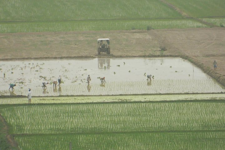 Tractor Safari – An Authentic Village Tour in Agra showcasing the real India. 6
