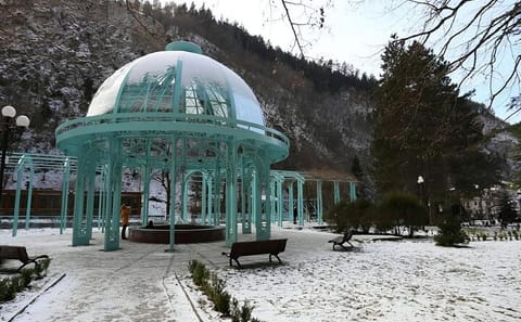 Private Bakuriani and Borjomi Adventure Day Tour
