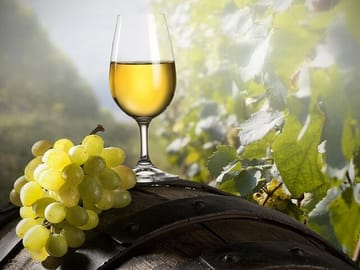 Private Green Wine Tour to Guimarães or Amarante from Porto
