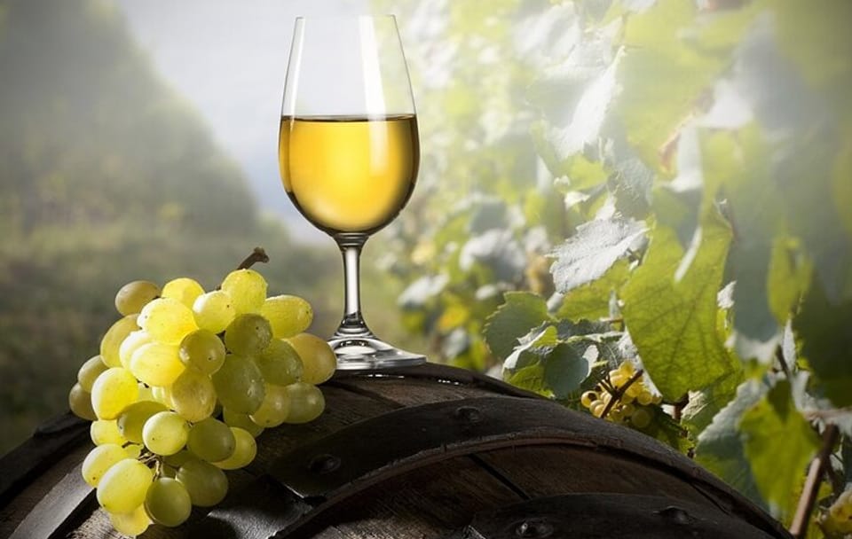 Private Green Wine Tour to Guimarães or Amarante from Porto