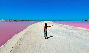 From Cancun: Rio Lagartos & Las Coloradas