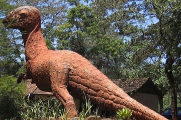 Half Day Tour to Nairobi National Museum & Snake Park