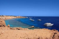 Private Half Day Tour By Minibus To Ras Mohammed National Park  6