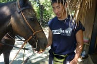 Horseback riding tour buy the beach or countryside port silver 9