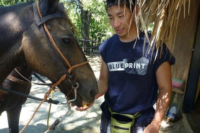 Horseback riding tour buy the beach or countryside port silver 9