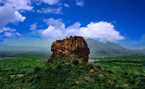 Sigiriya Rock Fortress and Minneriya Safari from Anuradhapura