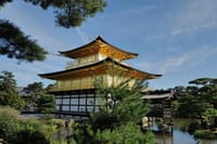 Kyoto Early Bird Tour Tokyo Round or One Way Shinkansen  7