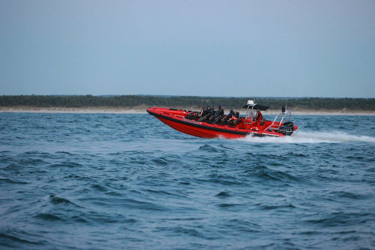 Whale  Watching from Downtown Reykjavik by RIB Speedboat  2