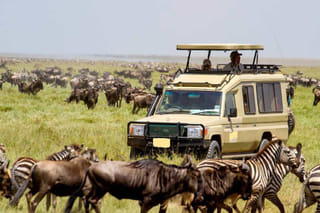 6Days Tanzania Tented Camping Safari : Serengeti, Lake Manyara, Ngorongoro Crater & Tarangire National Park