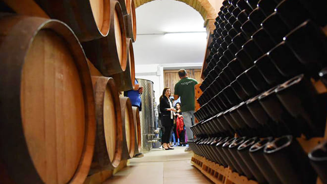 La Vinarte Winery and Tasting