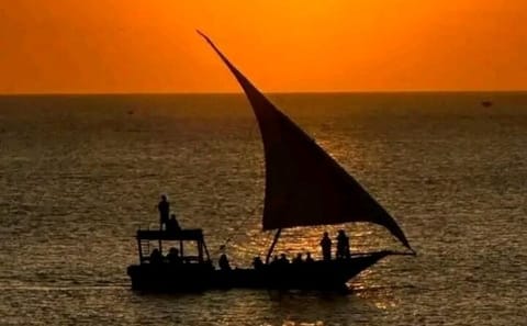 Zanzibar 8-Day Adventure: ATV Tours and Snorkeling Excursions
