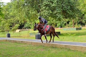 Half Day Horse Riding in Dambulla