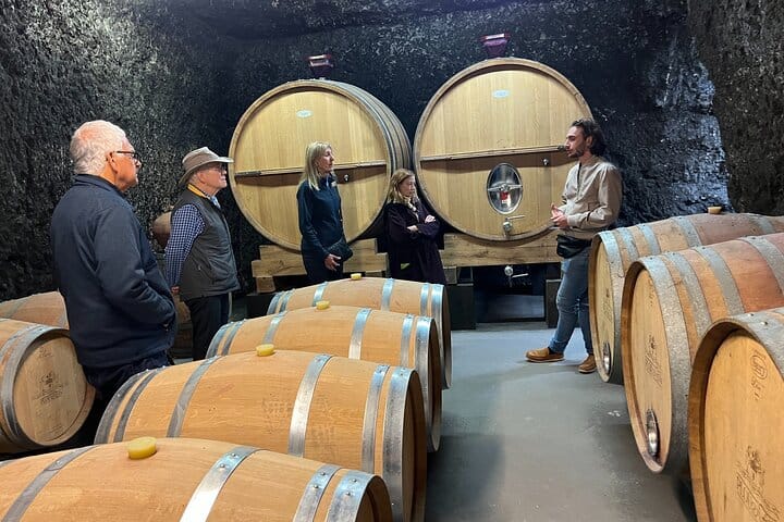 Incredible Loire castles tour with lunch and a vineyard visit