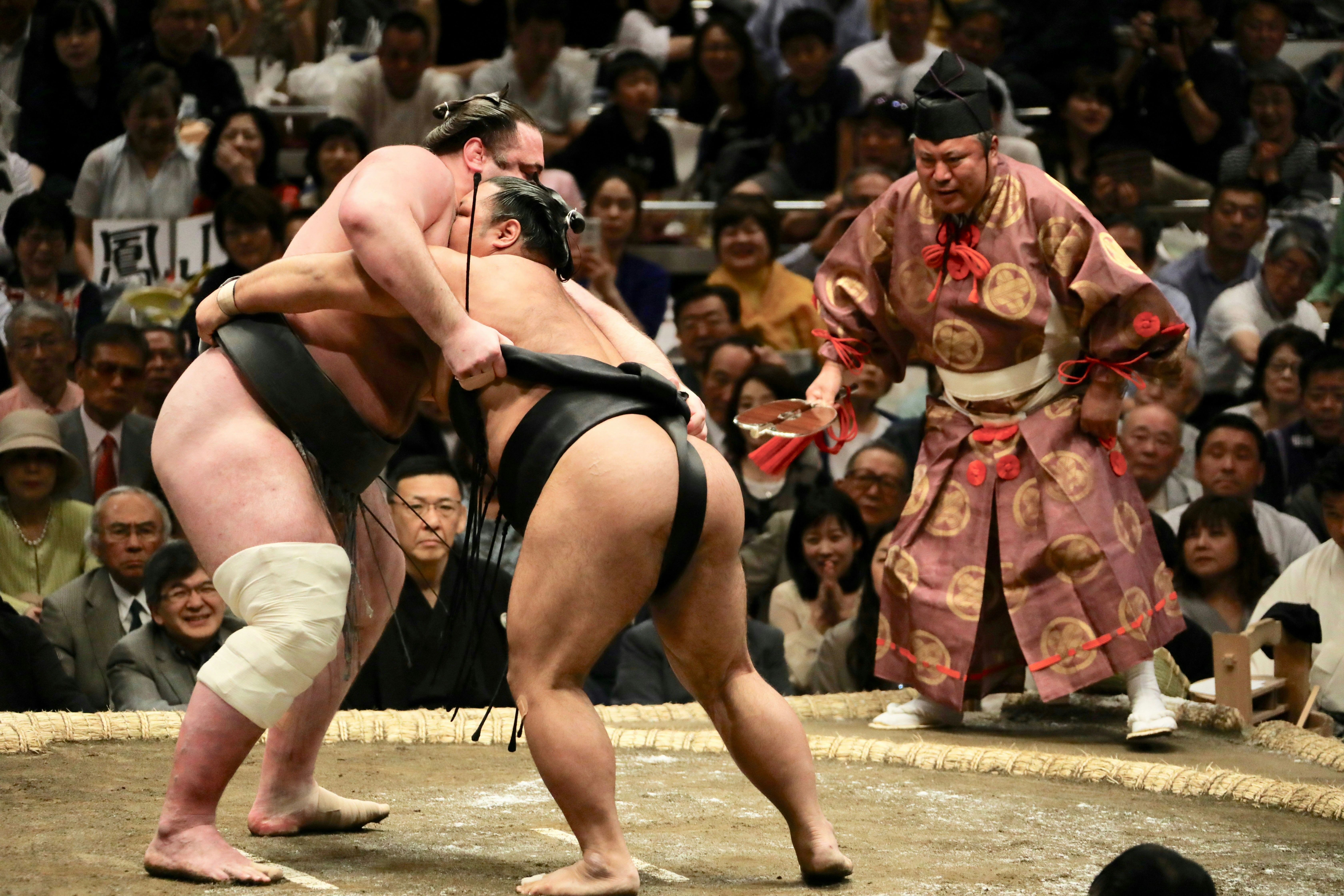 Sumo, Tokyo