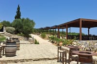  Wine Raki and Olive Oil tasting in Heraklion  9