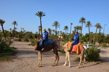 Camel Trekking Tour in the Marrakech Desert Landscape
