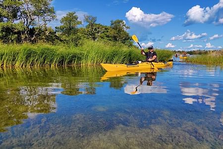 Kayak Adventure in the Stockholm Archipelago: Explore 30,000 Islands