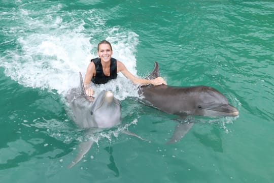 Dolphin Royal Swim at Dolphin Discovery Grand Cayman