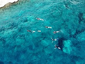 From San Teodoro: snorkeling in Molara