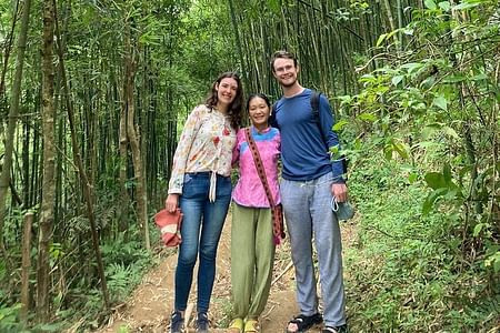 Private Trekking Tour in Bamboo Forest, Muong Hoa Valley