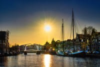 Haarlem in 1 Day - Walking Tour - Audioguide in 7 languages 6