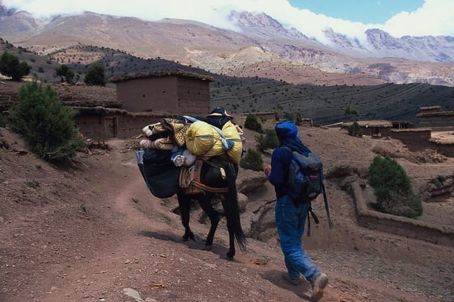 Muleteers