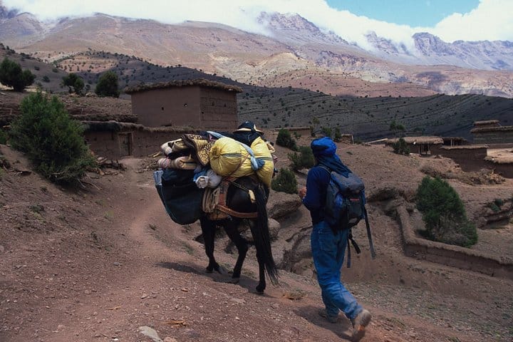 Muleteers