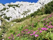 Day Hike OPEN GROUP tour - Piatra Craiului National Park 2