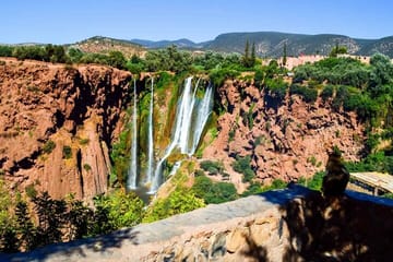 Day Trip to Ouzoud Waterfalls from Marrakech with Transport