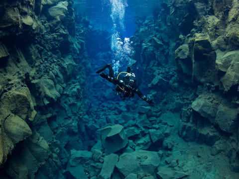 The Tectonic Dive Day Tour