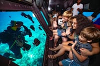 Semi Submarine 2 Hours sea trip &amp; Snorkeling &amp; Transfer–Hurghada