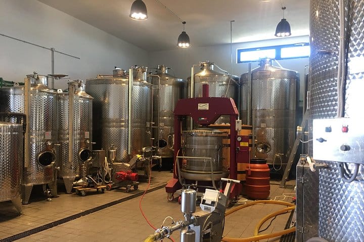 Vip Tour Giza pyramids, sphinx with Camel Ride and Vip lunch