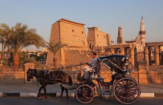 Private Luxor Horse-Carriage Tour with Local Guide