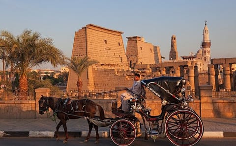Private Horse-Carriage Tour of Historic Luxor, Egypt
