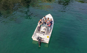 Sunset boat cruise with wine and fish tasting from Garda