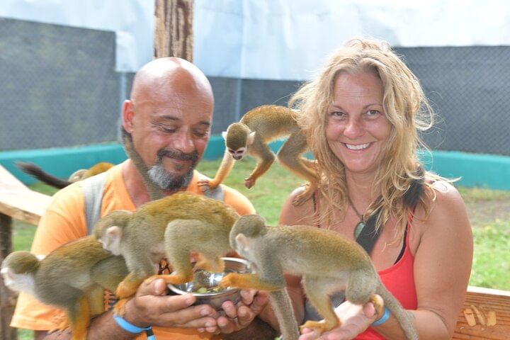 Damajagua Waterfalls and Monkey Private Van Tour